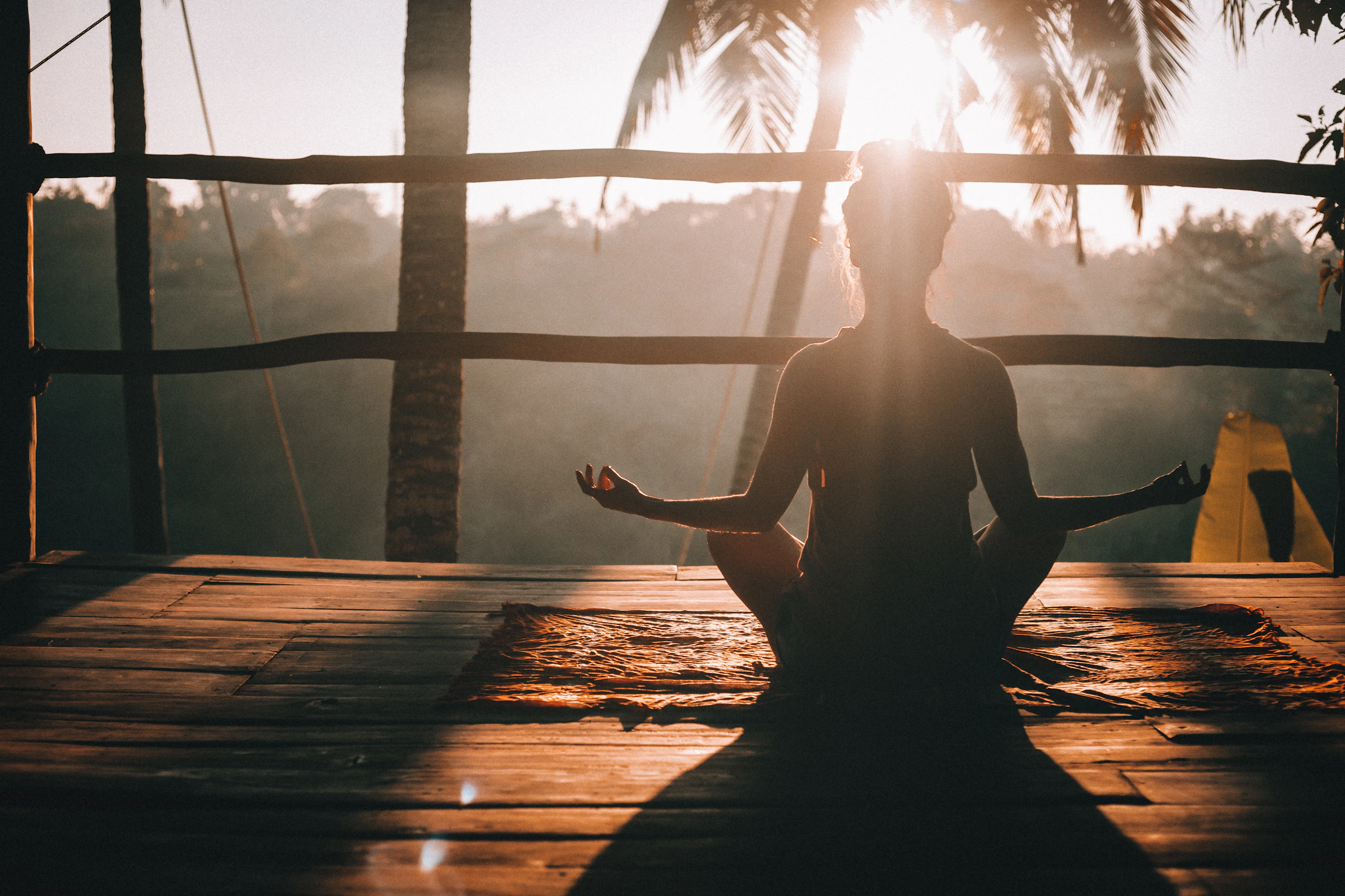 Jared Rice_1785629295228_unsplash_id_xce530fBHrk.webp